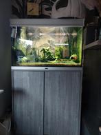 Aquarium, Dieren en Toebehoren, Vissen | Aquaria en Toebehoren, Ophalen of Verzenden, Gevuld zoetwateraquarium