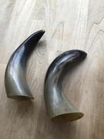 Decoratieve koeienhoorns, Ophalen of Verzenden, Gebruikt