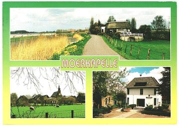908918 Moerkapelle ZH Gelopen met zege beschikbaar voor biedingen