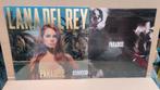 Lp Lana del Rey paradise, Cd's en Dvd's, Vinyl | Pop, Ophalen of Verzenden, 1960 tot 1980, Zo goed als nieuw, 12 inch