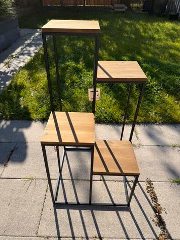 Plantentafel Isa Xenos beschikbaar voor biedingen