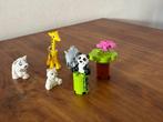 Duplo babydieren 10904, Ophalen, Gebruikt, Complete set, Duplo