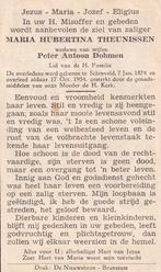 Theunissen Maria 1874 Schinveld 1954, Ophalen of Verzenden, Bidprentje