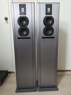 Piega Twen 20 | 06 Anniversary Edition, Zo goed als nieuw, 60 tot 120 watt, Front, Rear of Stereo speakers, Ophalen