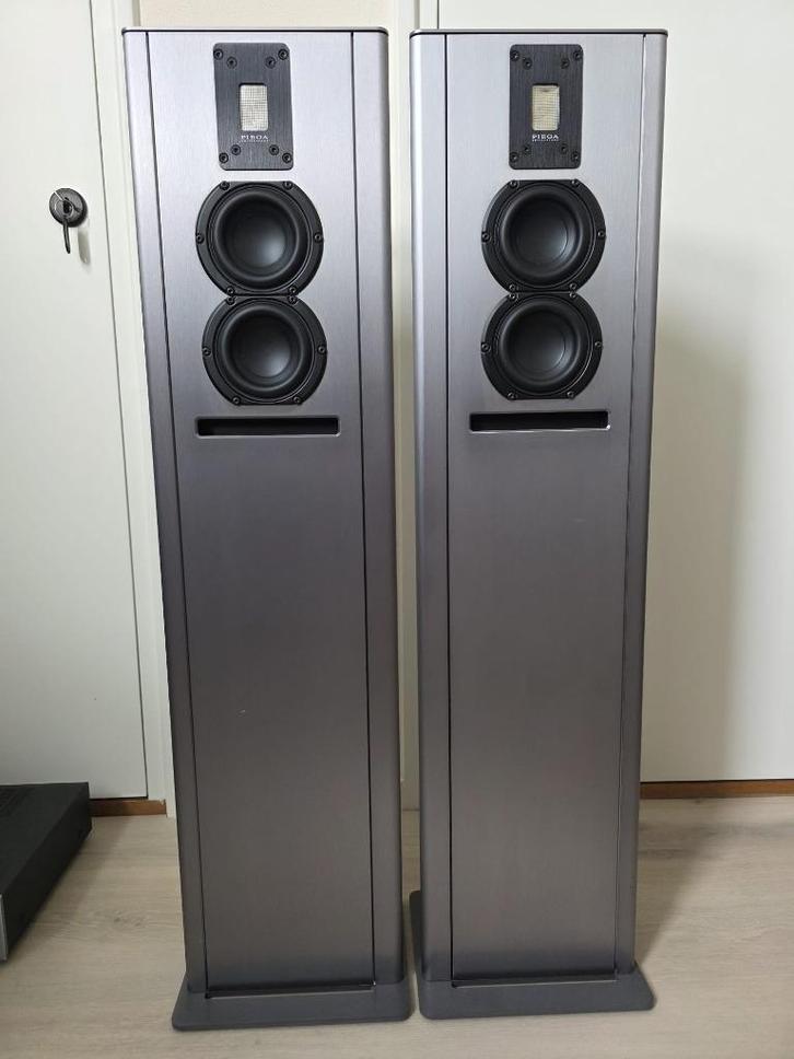 Piega Twen 20 | 06 Anniversary Edition, Audio, Tv en Foto, Luidsprekers, Zo goed als nieuw, Front, Rear of Stereo speakers, 60 tot 120 watt