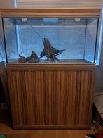 Aqualantis aquarium 100cn., Dieren en Toebehoren, Vissen | Aquaria en Toebehoren, Ophalen, Zo goed als nieuw, Leeg aquarium