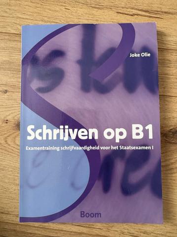 Schrijven op B1 - Joke Olie beschikbaar voor biedingen