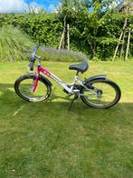 Mountainbike 20 inch. Roze, Ophalen, Gebruikt, 20 inch of meer