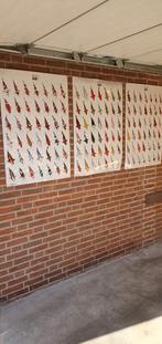 Koi posters. Gelamineerd, Ophalen of Verzenden