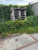 Euro pallets, Tuin en Terras, Ophalen, Overige soorten, Minder dan 100 cm