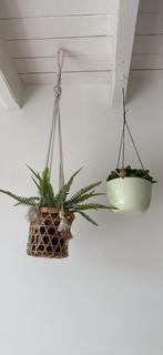 Potjes voor hangplant inclusief nep plantjes, Ophalen of Verzenden, Overige soorten, Minder dan 100 cm