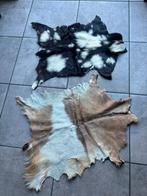 Geitenhuiden - Decoratief Kleed/Wanddecoratie, Gebruikt, Wit, Overige vormen, 50 tot 100 cm