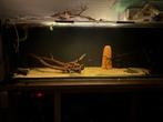Aquarium 150x50x50, Ophalen, Zo goed als nieuw, Leeg aquarium