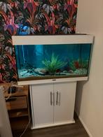 Aquarium Juwel 125, Dieren en Toebehoren, Ophalen, Zo goed als nieuw