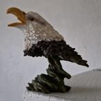 Amerikaanse Zeearend (witkopzeearend),  Roofvogel, Ophalen of Verzenden, Zo goed als nieuw