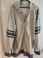 Heren vest 6xl met capuchon beige Heren vest 6xl met capucho, Ophalen of Verzenden, Zo goed als nieuw, Overige maten, Beige