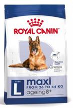 Nieuw zak 15 kg Royal Canin hondenbrokken in ton., Dieren en Toebehoren, Dierenvoeding, Ophalen, Hond