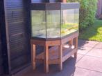 Terrarium voor hamster / cavia, Dieren en Toebehoren, Mannelijk, Voor 1 juli 2024