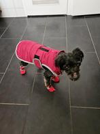 Honden Oppas thuis gezocht. Wielakkers 4 Middelbeers., Ophalen of Verzenden