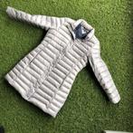 Tommy Hilfiger jas grijs L, Kleding | Heren, Ophalen of Verzenden, Gedragen, Grijs