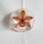 Orchidee WNF presse papier, Ophalen of Verzenden