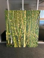 grote doek schilderijen, Ophalen, Zo goed als nieuw