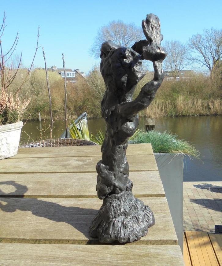 Jan SIERHUIS.Brons.Jubileum uitgave!, Antiek en Kunst, Kunst | Beelden en Houtsnijwerken, Ophalen