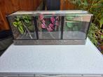 Terrarium: Spinnenstraat 63 cm x 20 cm x 25 cm, Ophalen, Gebruikt, Terrarium of Paludarium