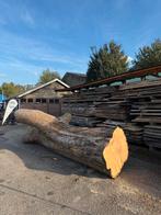 Eiken iepen populier essen beuk wilg esdoorn vleugelnoot, Doe-het-zelf en Verbouw, Hout en Planken, Eiken, Nieuw, Ophalen of Verzenden