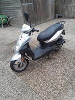 sym simply 50 blauw kenteken, Ophalen, Gebruikt, Overige modellen