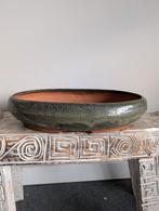 Bonsai pot 38x23x8cm, Tuin en Terras, Bloempotten, ., Ophalen of Verzenden, Zo goed als nieuw, .