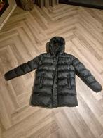 Nieuwe originele malelions winterjas maat XL, Kleding | Heren, Jassen | Winter, Ophalen of Verzenden, Nieuw, Maat 56/58 (XL)