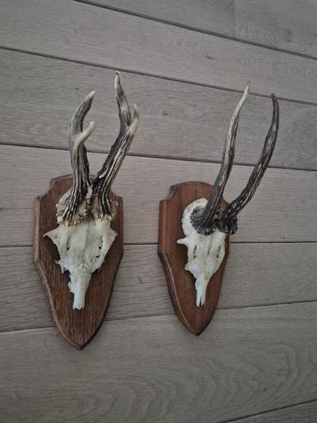 2 Mooie Ree Geweien samen € 19 Mancave Jacht Landelijk c33 beschikbaar voor biedingen