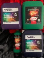 Plagron Green Sensation & Dutchpro Explode Plantenvoeding, Ophalen of Verzenden