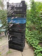 Kratten afg kunststof groentekratten, Ophalen, Gebruikt, 40 tot 60 cm, 50 tot 75 cm