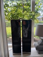 Bloempotten met plant, Huis en Inrichting, Woonaccessoires | Zuilen en Pilaren, Ophalen, Zo goed als nieuw