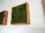 Kunstmos/ mosschilderij in houten frames voor aan de muur, Huis en Inrichting, Woonaccessoires | Kunstplanten en Kunstbloemen