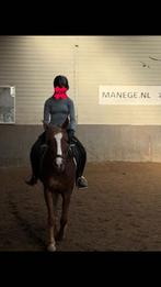 Verzorg of bijrijd paard(en)/ pony(‘s) gezocht, Dieren en Toebehoren, Ophalen of Verzenden, Zo goed als nieuw