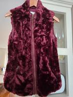 NIEUW Mooie Bordeaux Bodywarmer van The Sting Maat M, Maat 38/40 (M), The Sting, Nieuw, Ophalen of Verzenden