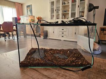 Terrarium 50 x 30 x 30 beschikbaar voor biedingen