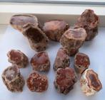 Prachtige versteend hout stammetjes Madagascar mineralen, Ophalen of Verzenden, Mineraal