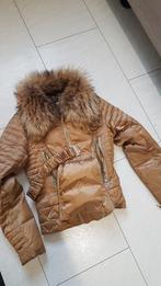 Z.G.A.N. Winterjas maat XS goudkleurig merk glamorous, Ophalen of Verzenden, Zo goed als nieuw, Maat 34 (XS) of kleiner, Overige kleuren
