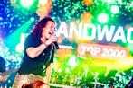 Top2000 coverband Bandwagon,, Band