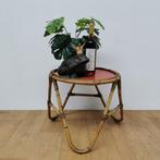 Vintage rotan, rattan, bamboe salontafeltje, bijzettafeltje, 45 tot 60 cm, Overige materialen, Gebruikt, Info@flashbackfurniture.nl