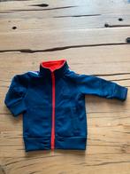 Vestje Vingino, Kinderen en Baby's, Babykleding | Maat 80, Truitje of Vestje, Nieuw, Ophalen of Verzenden, Vingino
