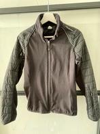 Paardrij jas maat 40, Ophalen of Verzenden, Gebruikt, Dames, Bovenkleding