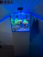 Elos Diamond 75L (Reef, zeewater aquarium.), Ophalen