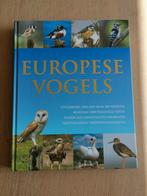 Europese Vogels - David Alderton, Ophalen of Verzenden, Zo goed als nieuw, Vogels, Onbekend