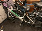 Nette elektrische Dammes fiets - Inruil mogelijk, Ophalen, Gebruikt, Overige merken