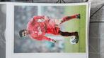 20x30cm foto + originele handtekening Litmanen Liverpool, Verzamelen, Ophalen of Verzenden, Nieuw, Buitenlandse clubs